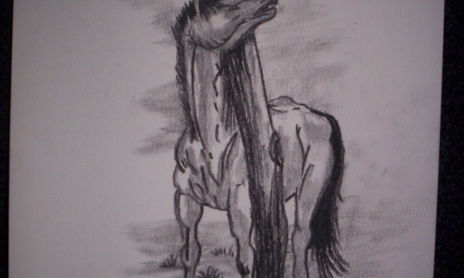 Dibujos Gauchesco