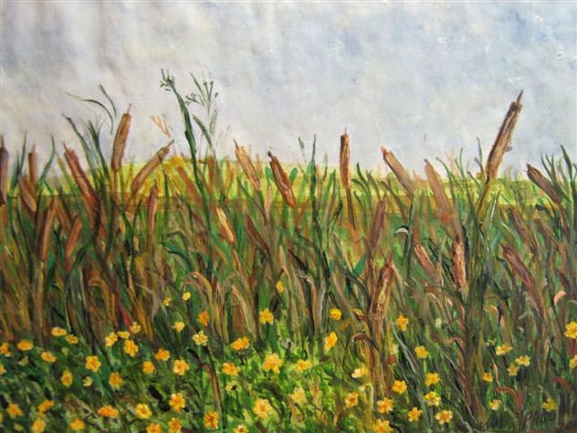 FLORES DE LAGUNA