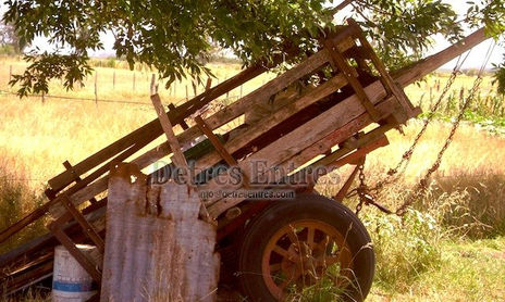 Campo