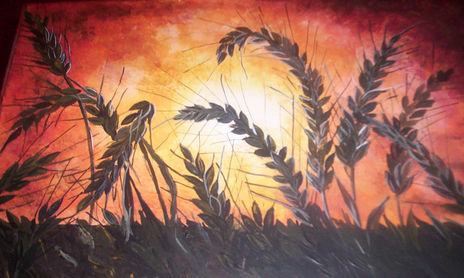 IMAGENES DEL CAMPO