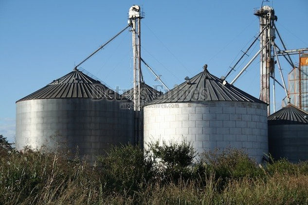 Silos Architecture and Interiorism Black and White (Digital)