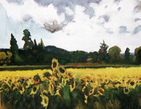 Campo de girasoles