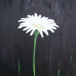 floral thumbnail 1
