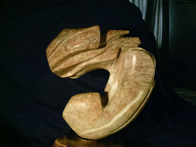 GIMNOCALICIUM