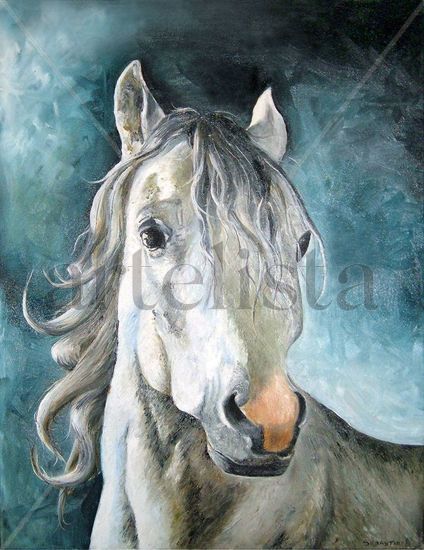 Caballo Blanco Oil Canvas Animals