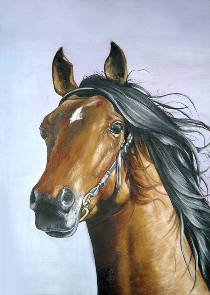 Caballo Marron