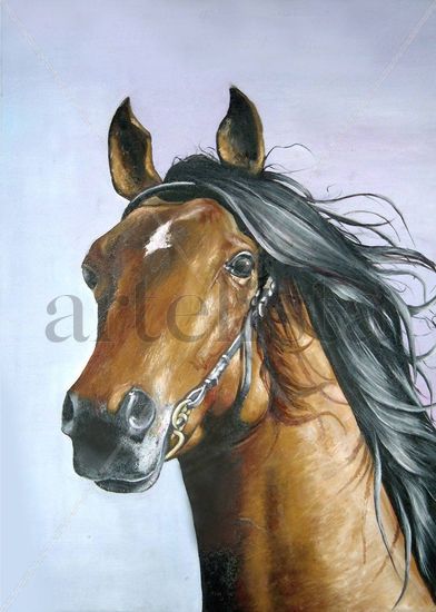 Caballo Marron Oil Canvas Animals