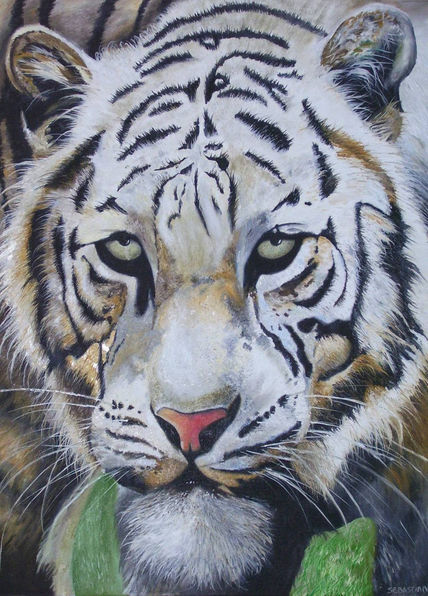 Tigre de Bengala
