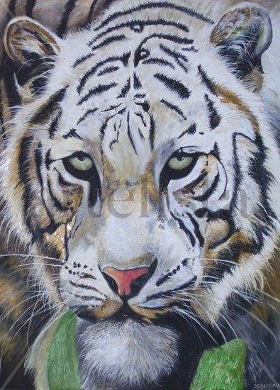 Tigre de Bengala Oil Canvas Animals