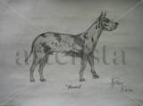 Taner