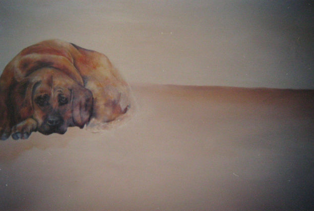 En su espacio Oil Canvas Animals