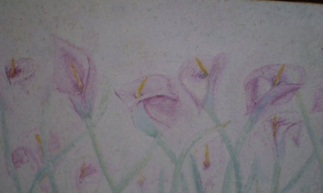 Flores