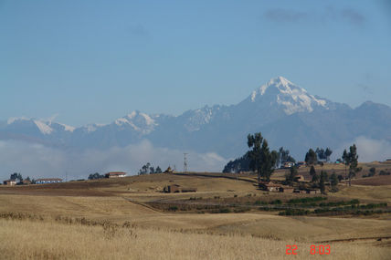 NEVADO  VERONICA (...