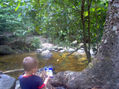 Selva yaracuyana