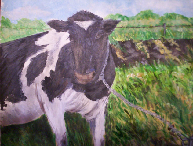 VACA ATADA