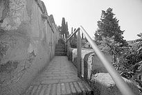 Paseos por Gibralfaro