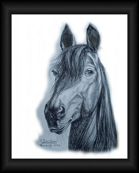 caballo