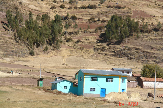 OCCOBAMBA ( Comunidad andina  PUNO - PERU )