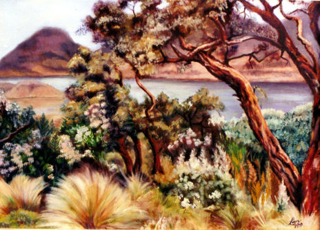 Paisaje de Galápagos