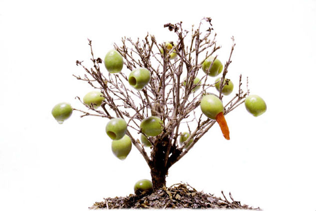 aceituno