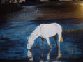 el unicornio perdido