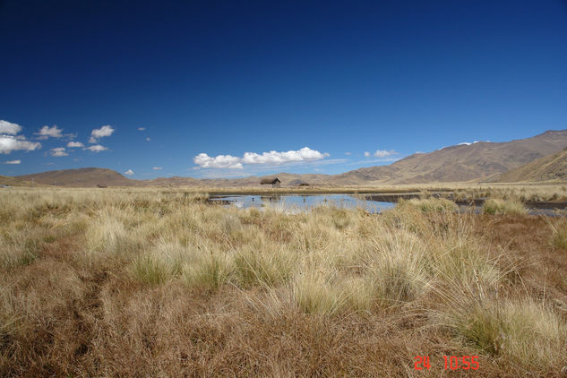 PAISAJE DEL ALTIPLANO ( Puno peru ) 