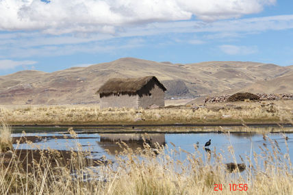 PAISAJE DEL...