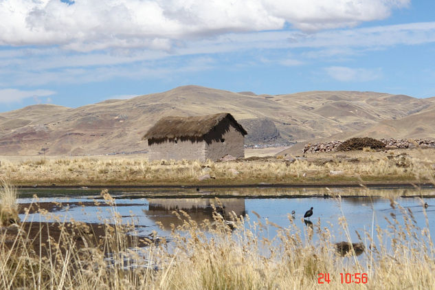 PAISAJE DEL ALTIPLANO ( Puno peru ) 