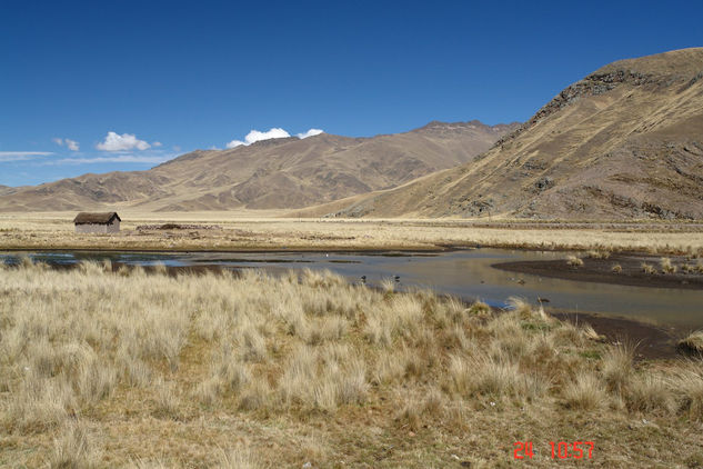 PAISAJE DEL ALTIPLANO ( Puno peru ) 