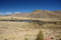 PAISAJE DEL ALTIPLANO ( Puno peru )