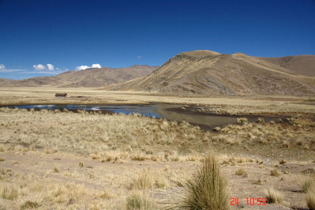 PAISAJE DEL ALTIPLANO ( Puno peru ) 