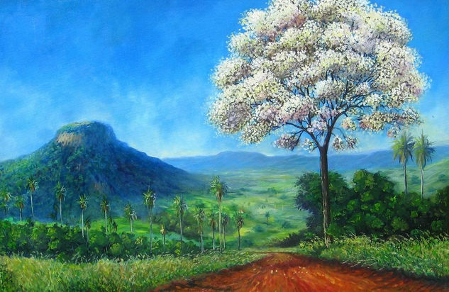 Lapacho Blanco Oil Canvas Landscaping