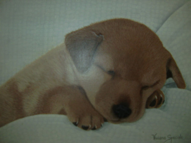 bebe durmiendo Acrylic Canvas Animals