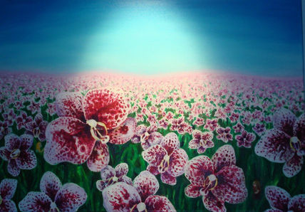 Flores magenta