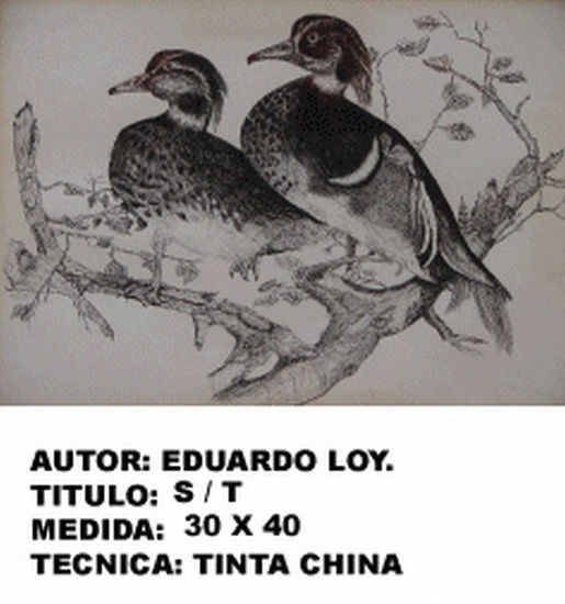 Patos Tinta Lienzo Animales