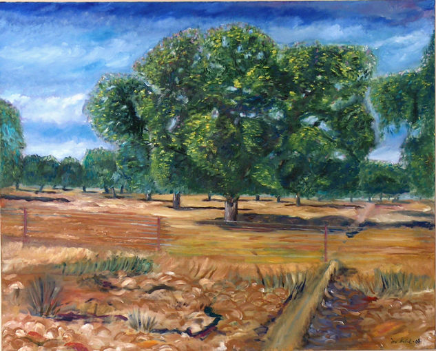 QUERCUS en los CAMPOS EXTREMEÑOS Oil Canvas Landscaping