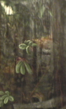 bosque tropical