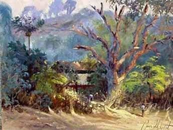 A Velha Mangueira