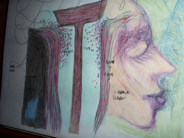 Emoción indescriptible. 2008