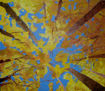 BOSQUE