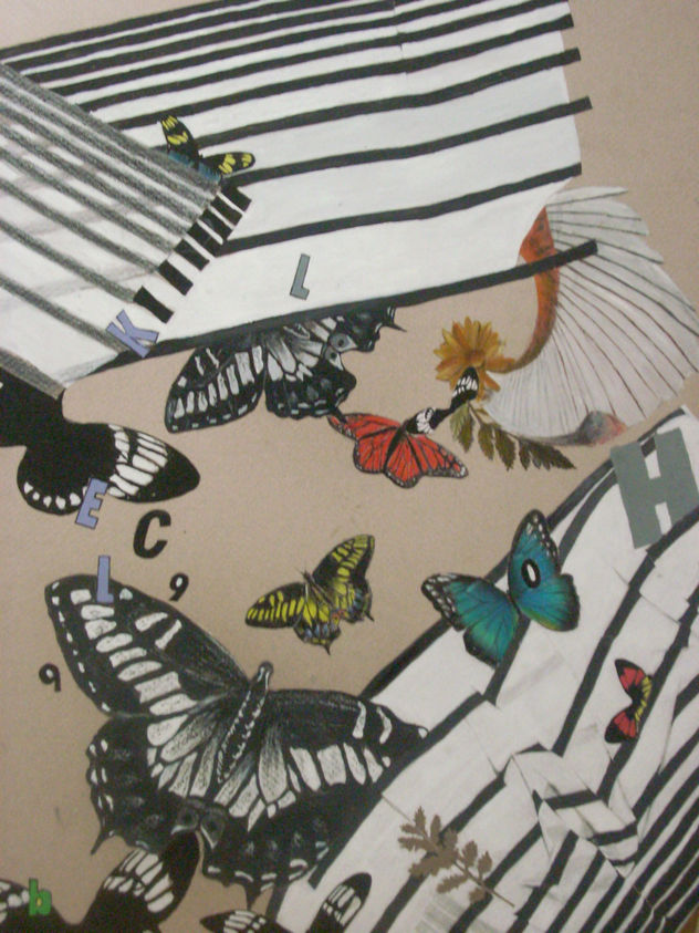 Collage de la naturaleza