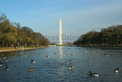 Washington