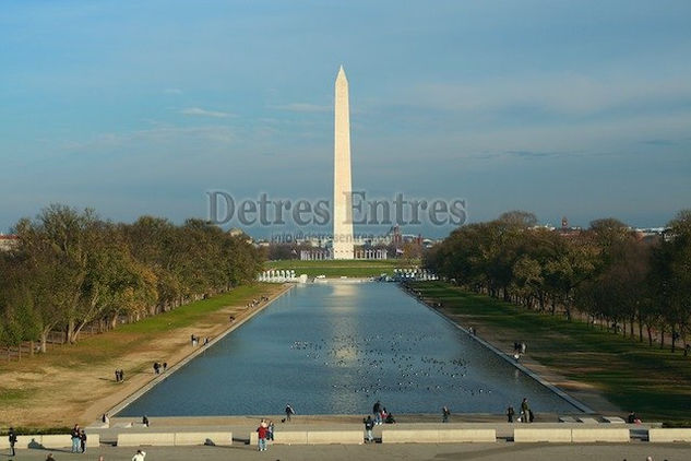 Washington Architecture and Interiorism Black and White (Digital)