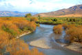 Patagonia 12