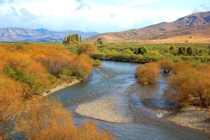 Patagonia 12