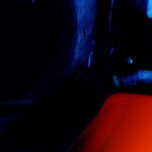 DE FICTUS thumbnail 1