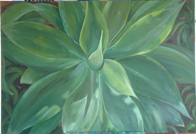 Agave