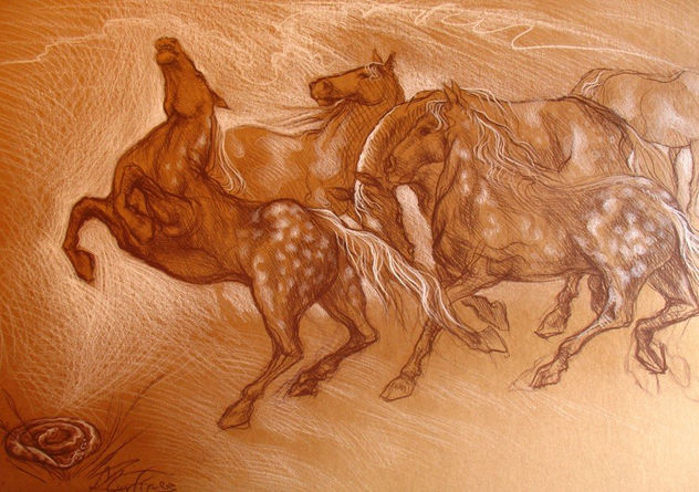 APALLOSSA II (ESTUDIO)