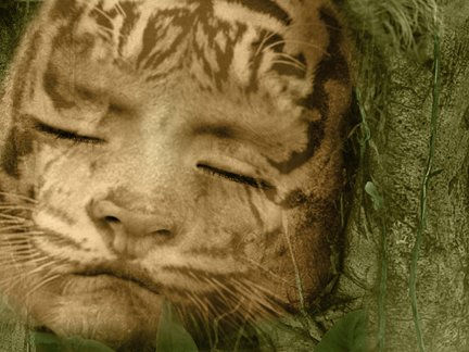 Habia una vez un niño que soñaba que hera tigre, que soñaba que era niño