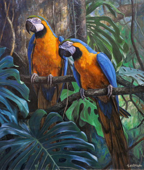 Tesoros de la selva